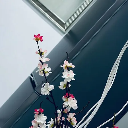 Mema House Parri Apartment